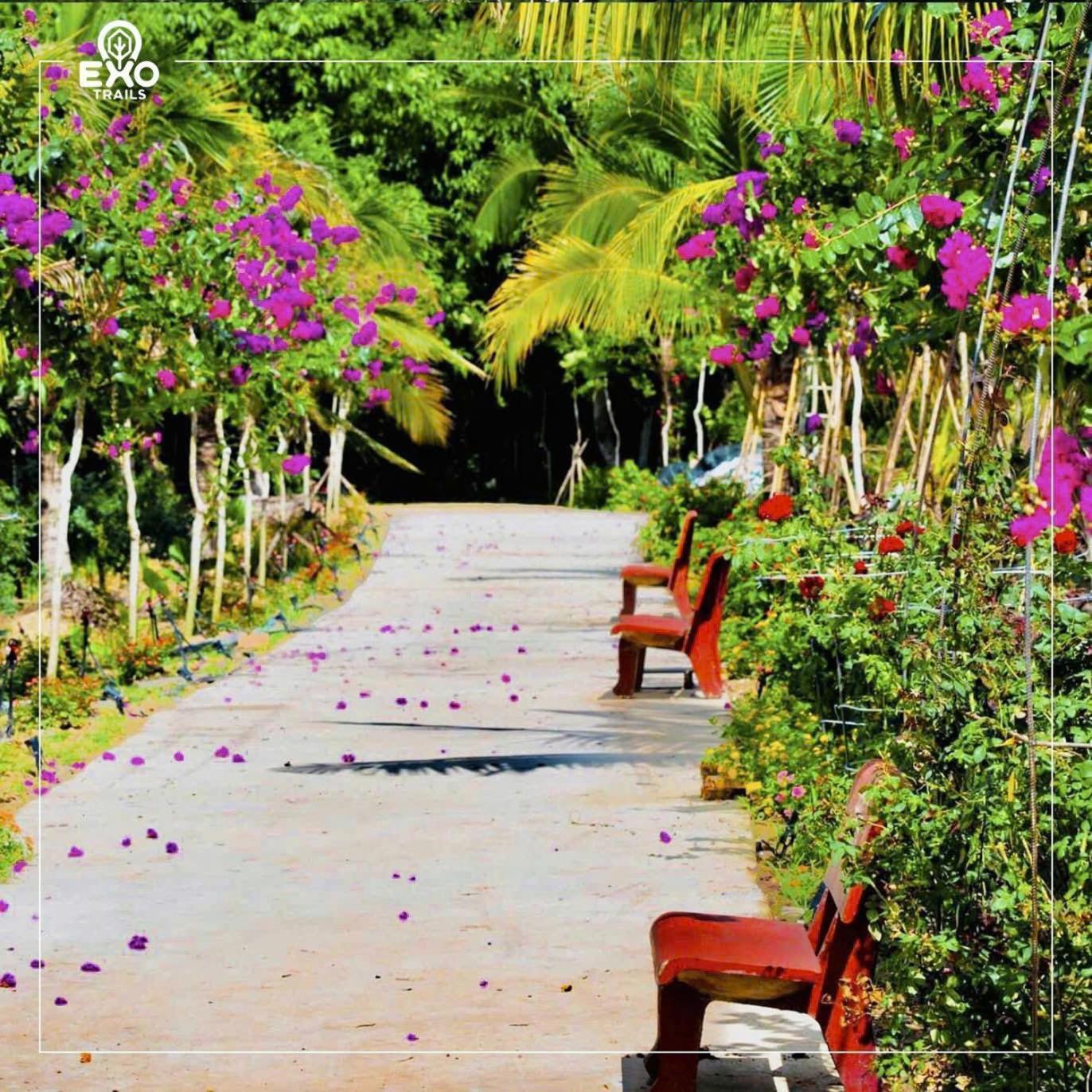 Phu Dien Homestay Cat Tien Exterior foto